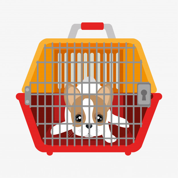 Crate Train Your Puppy