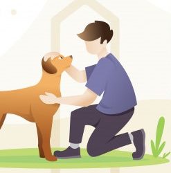 How do you clicker train Your dog?